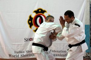 Federazione Italiana Shorinji Kempo 
