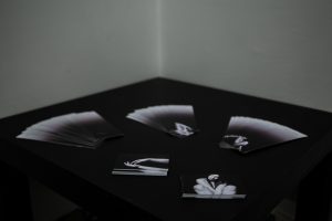 Mostra fotografica