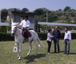 Un cavallo per amico