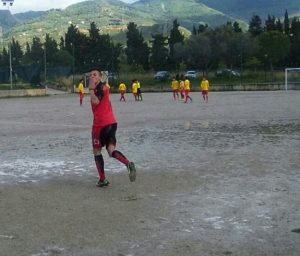 Stefanese