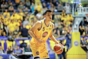 Mirza Alibegovic