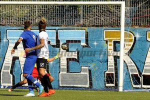 Gagliardini