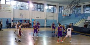 Castanea Basket