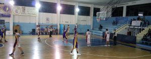Castanea Basket
