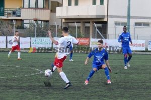 Silvestri