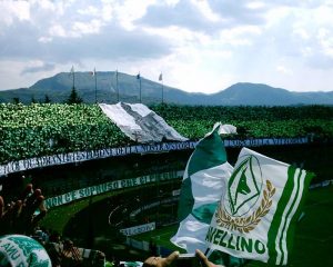 Avellino