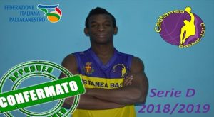 Castanea Basket