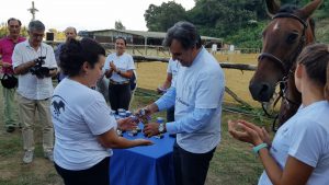 Equitazione