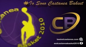 Castanea Basket
