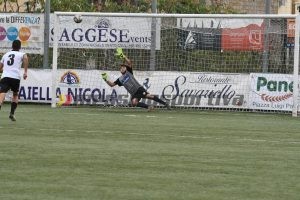 Longo