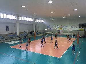 Pallavolo