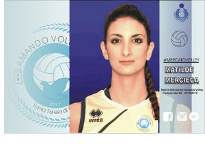 Amando Volley