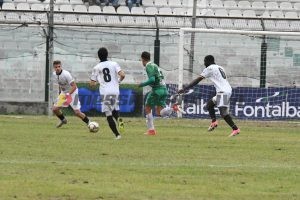 Biondi, Sambinha e Selvaggio