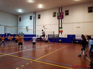 Gruppo Media Volley