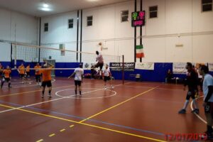 Gruppo Media Volley