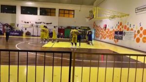 Castanea Basket