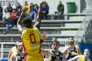 Ala Diallo
