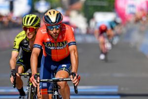 Vincenzo Nibali