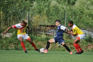 Bevis e Camara