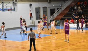 Castanea Basket