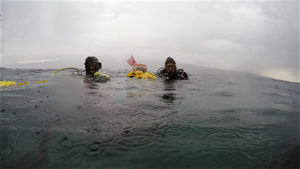 Mare In-genere