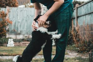 cane