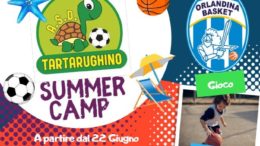 Tartarughino Summer Camp