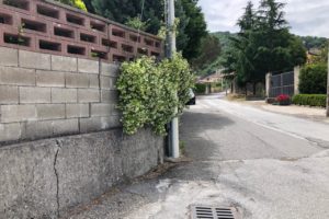 Basicò 