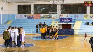 Castanea Basket