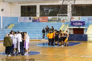 Castanea Basket