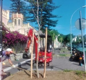 via Tommaso Cannizzaro