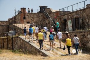 Forte Cavalli 
