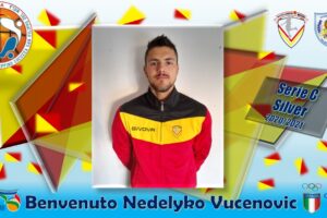 Nedeljko Vucenovic