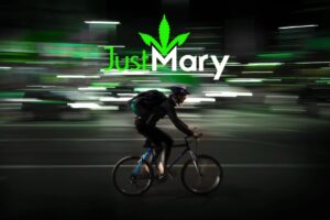 JustMary 