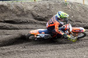 Tony Cairoli
