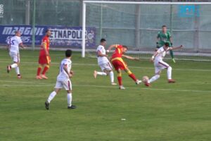 Perkovic 