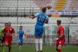 Perkovic 