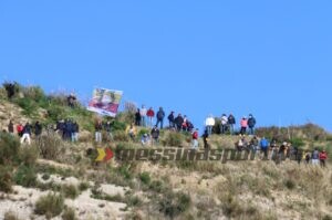 tifosi