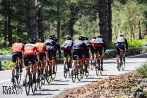 Team Nibali 