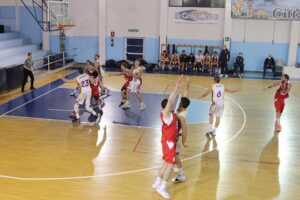 Castanea Basket
