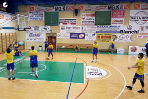 Torrenova 