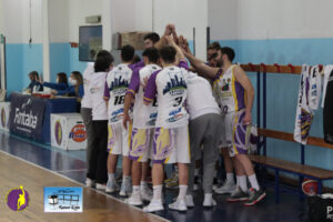 Castanea Basket