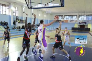 Castanea Basket
