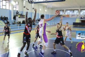 Castanea Basket