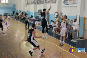 Castanea Basket