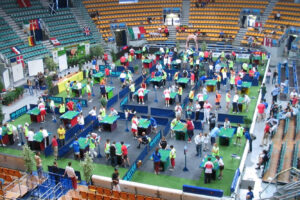 subbuteo