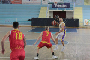 Castanea Basket