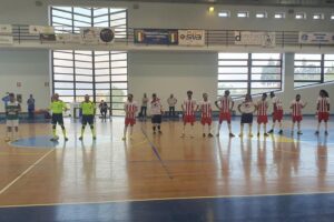 Meriense 