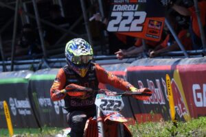 Cairoli