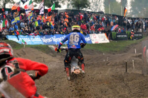 Tony Cairoli